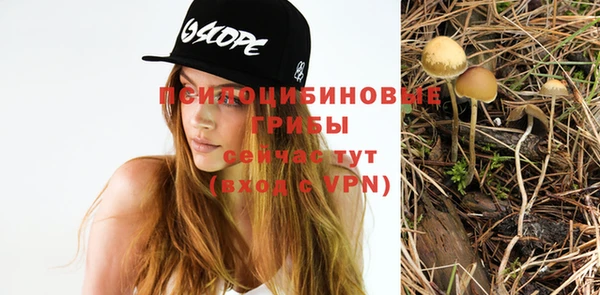мет Баксан