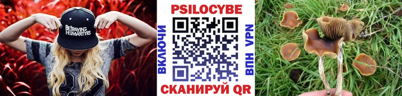 Псилоцибиновые грибы мицелий  Уссурийск 